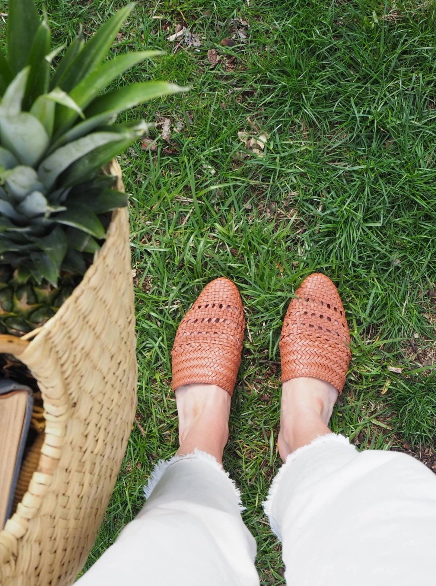 LILY - TERRACOTTA